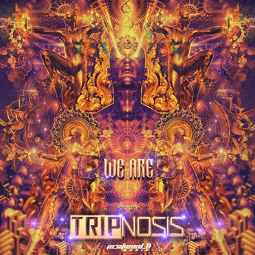 We Are by Tripnosis - album cover
