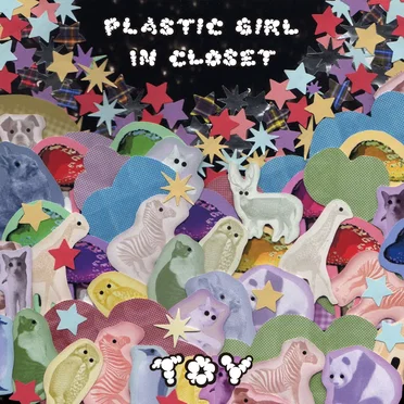 Toy
