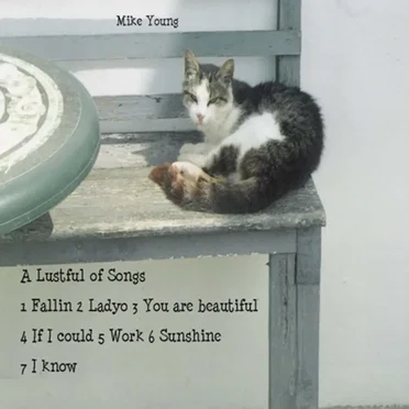 A Lustful Of Songs by Mike Young - album cover