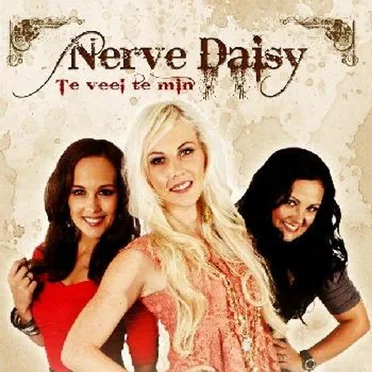 Te Veel Te Min by Nerve Daisy - album cover
