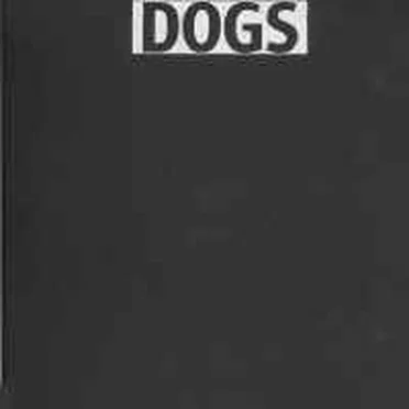 Box of Silk and Dogs