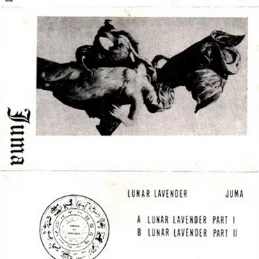 Lunar Lavender by Juma - album cover