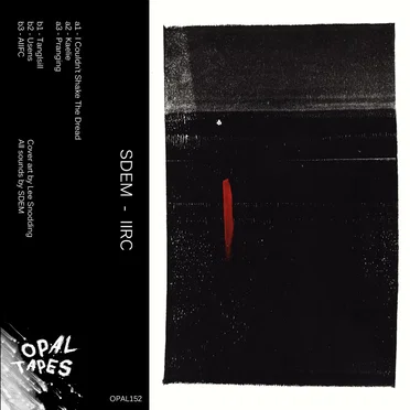 IIRC by SDEM - album cover