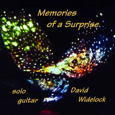 David Widelock