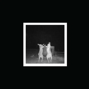 It Is What It Is by Old Mate - album cover