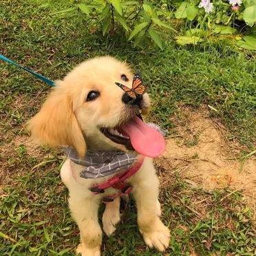 morning in the park
