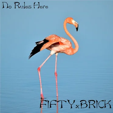 No Rules Here by FIFTYxBRICK - album cover