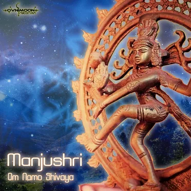 Om Namo Shiva