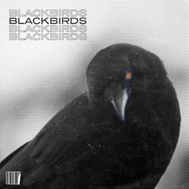 Blackbirds Pt. 2 by 3 roses - album cover