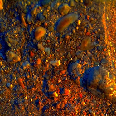 Golden Masquerade of the Trivial Crust