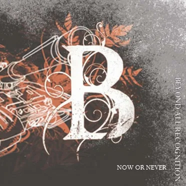 Now Or Never by Beyond All Recognition - album cover