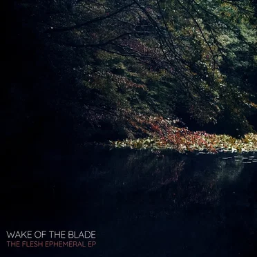 The Flesh Ephemeral by Wake of The Blade - album cover