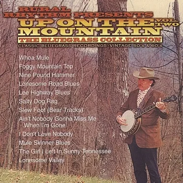 Up on the Mountain, Vol. 2 by Various Artists - album cover