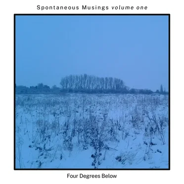 Spontaneous Musings Volume 1