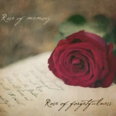 Rose of Memory, Rose of Forgetfulness by Various Artists - album cover