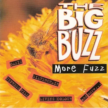 The Big Buzz: More Fuzz by Various Artists - album cover