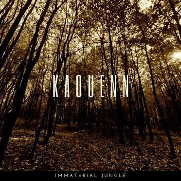 Immaterial Jungle by Kaouenn - album cover