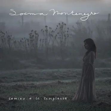 Camino a la templanza by Soema Montenegro - album cover