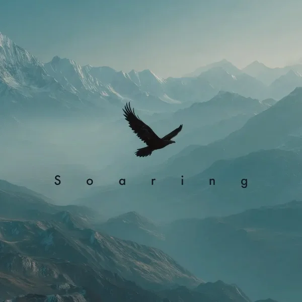 Soaring