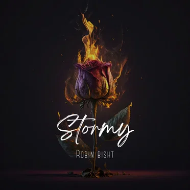 Stormy by Robin bisht - album cover