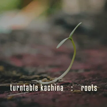 Roots by Turntable Kachina, Bear Cole - album cover