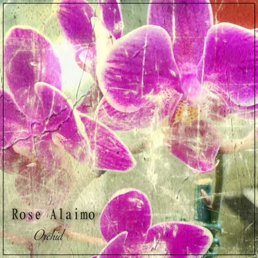 Orchid by Rose Alaimo - album cover