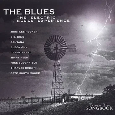 The Blues: The Electric Blues Experience by Various Artists - album cover