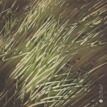 Endless Breeze by RINZ. - album cover