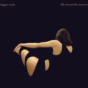 Silk Around the Marrow by Dagger Moth - album cover