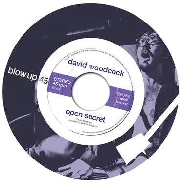 Open Secret by David Woodcock - album cover