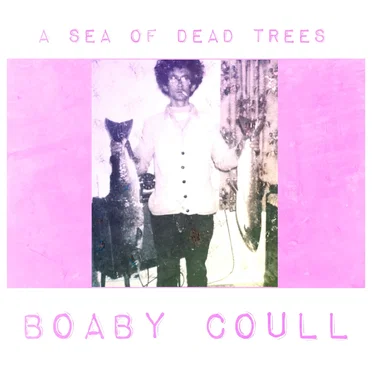 Boaby Coull by A Sea of Dead Trees - album cover