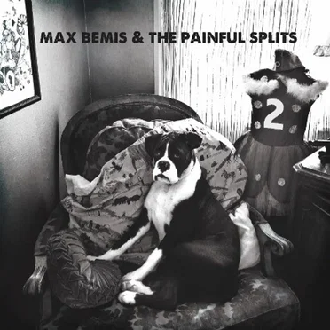 Max Bemis & The Painful Splits