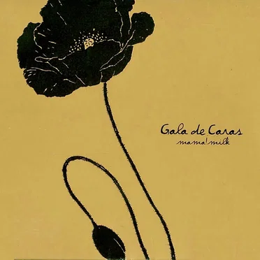 Gala de Caras