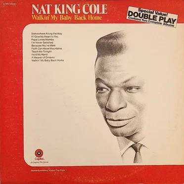 Walkin' My Baby Back Home / A Blossom Fell