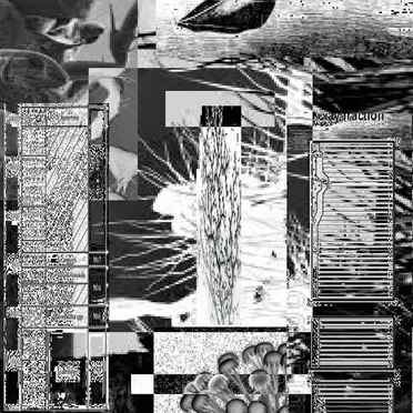 abyssal benthic