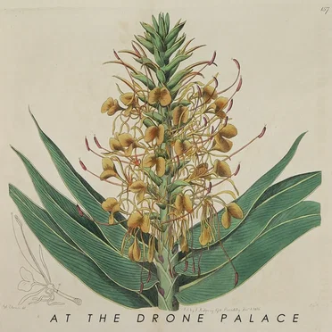 At the Drone Palace