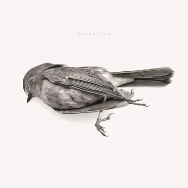 Departures by Downriver Dead Man Go - album cover
