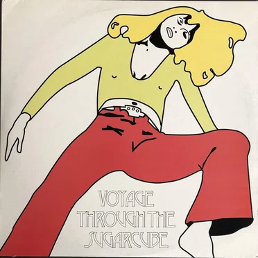 Voyage Through the Sugarcube by Various Artists - album cover