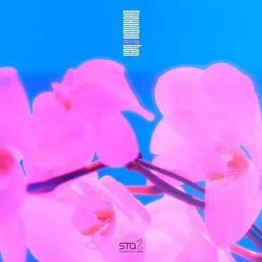夢中夢 (몽중몽; Dream in a Dream)