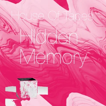 Hidden Memory