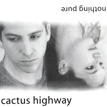 Nothing Pure by Cactus Highway - album cover