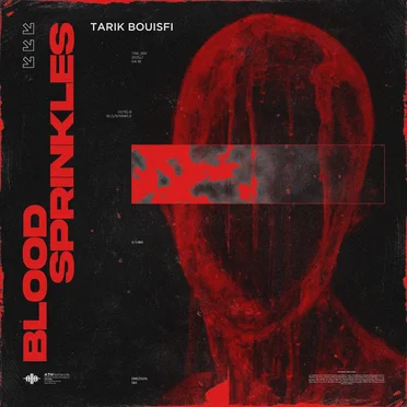 Tarik Bouisfi