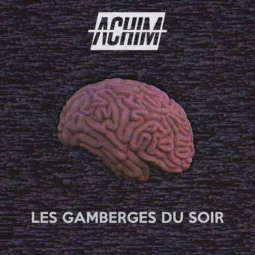 Les gamberges du soir by ACHIM - album cover