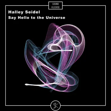 Say Hello to the Universe by Halley Seidel - album cover
