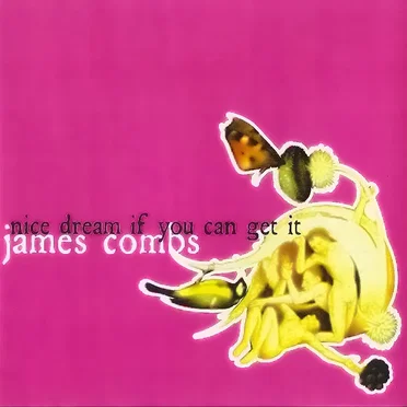 Nice Dream If You Can Get It by James Combs - album cover