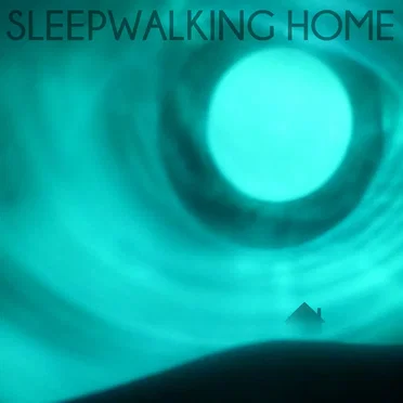 Sleepwalking Home by Nigel Brown - album cover