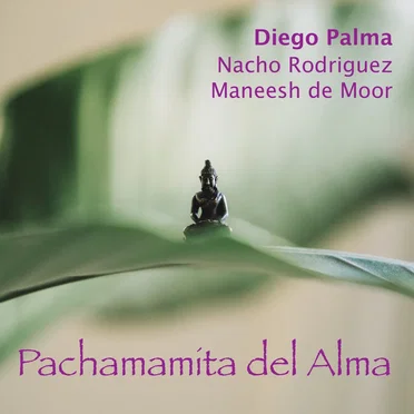 Pachamamita del alma by Diego Palma - album cover