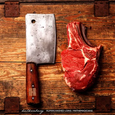 Human Hashed Loins/Mathemagicians by Hulkenburg - album cover