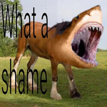 What a Shame 2 by killdummies - album cover
