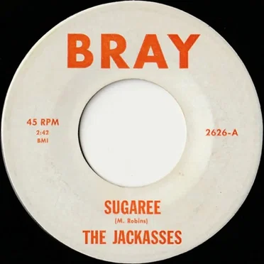 Sugaree / Shake It Up by The Jackasses - album cover